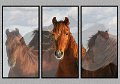 0076_7620-cT-TRI
