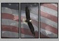 031808_6009-EFC-TRI