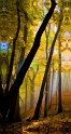 101808_3423TS-72x48-L