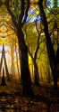 101808_3423TS-72x48-R