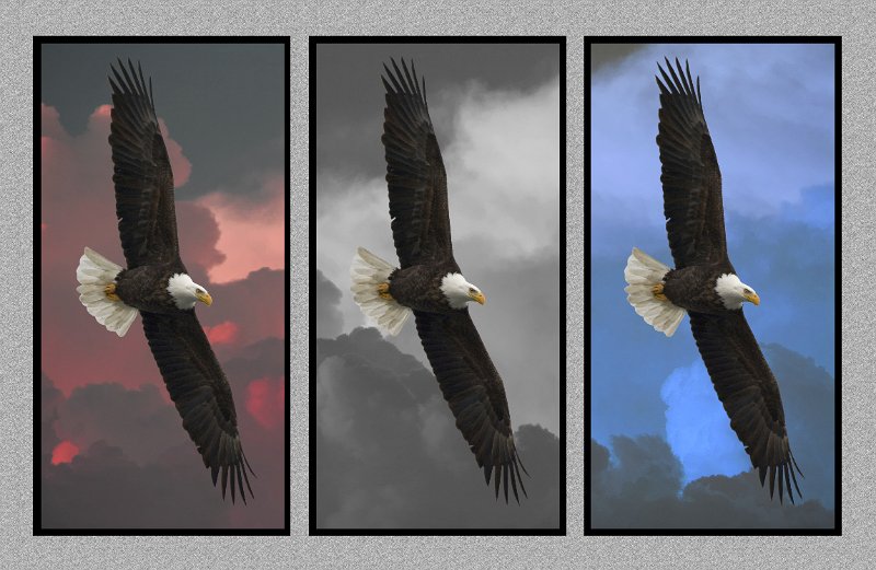 031808_6009m2-RWB-USA-Tri.jpg