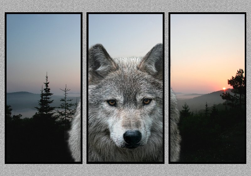 071005_2580-Wolf2-TRI.jpg