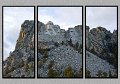 011309_5408-TRI
