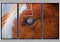 013009_8346TSSD-TRI