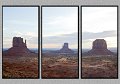 030409_3356-TRI