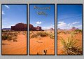 030409_5835-MV-TRI