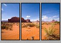 030409_5835-TRI