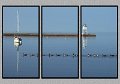 060303_5788-TRI