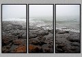 081805_7558-TRI
