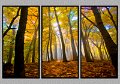 101808_3417TS